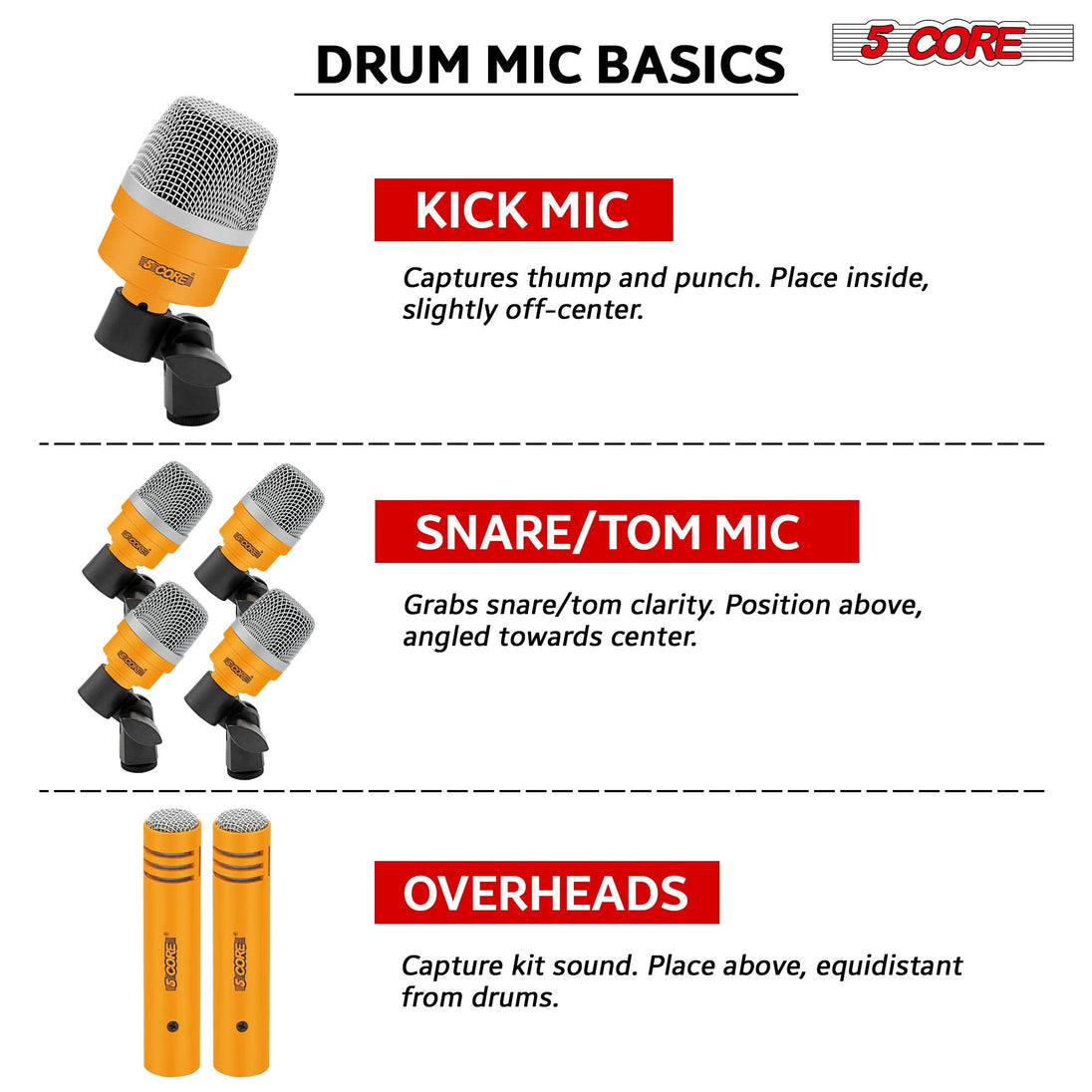 Professional microphone set with a sturdy lock/unlock carry case for protection.