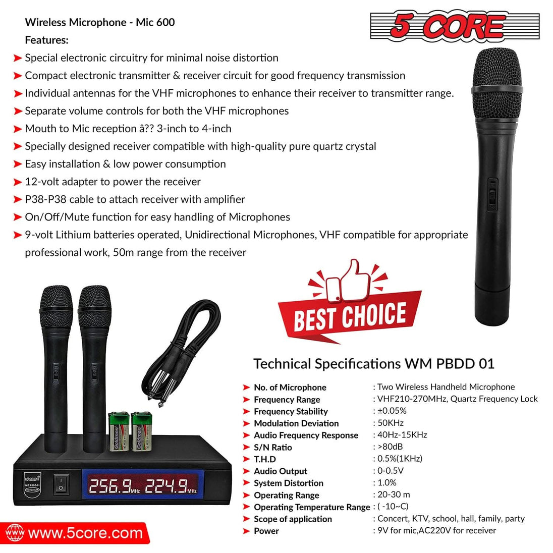 Professional dual mic system with crisp audio and stable connection