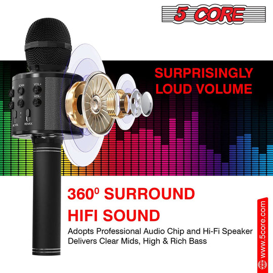 Handheld Cordless Singing Mic
