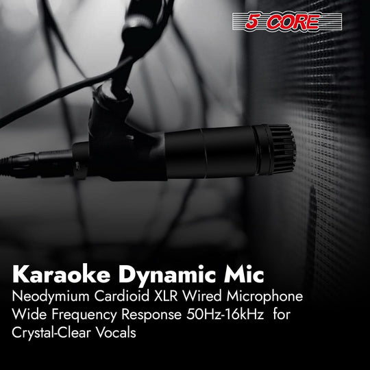 5Core handheld mic with cardioid pattern for noise reduction