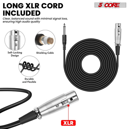 5Core XLR mic dynamic handheld microphone for home recording and stage use