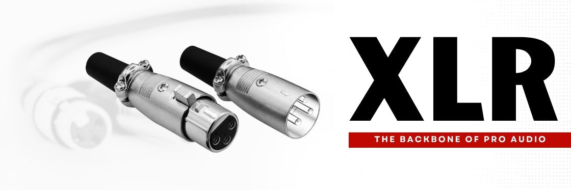 XLR