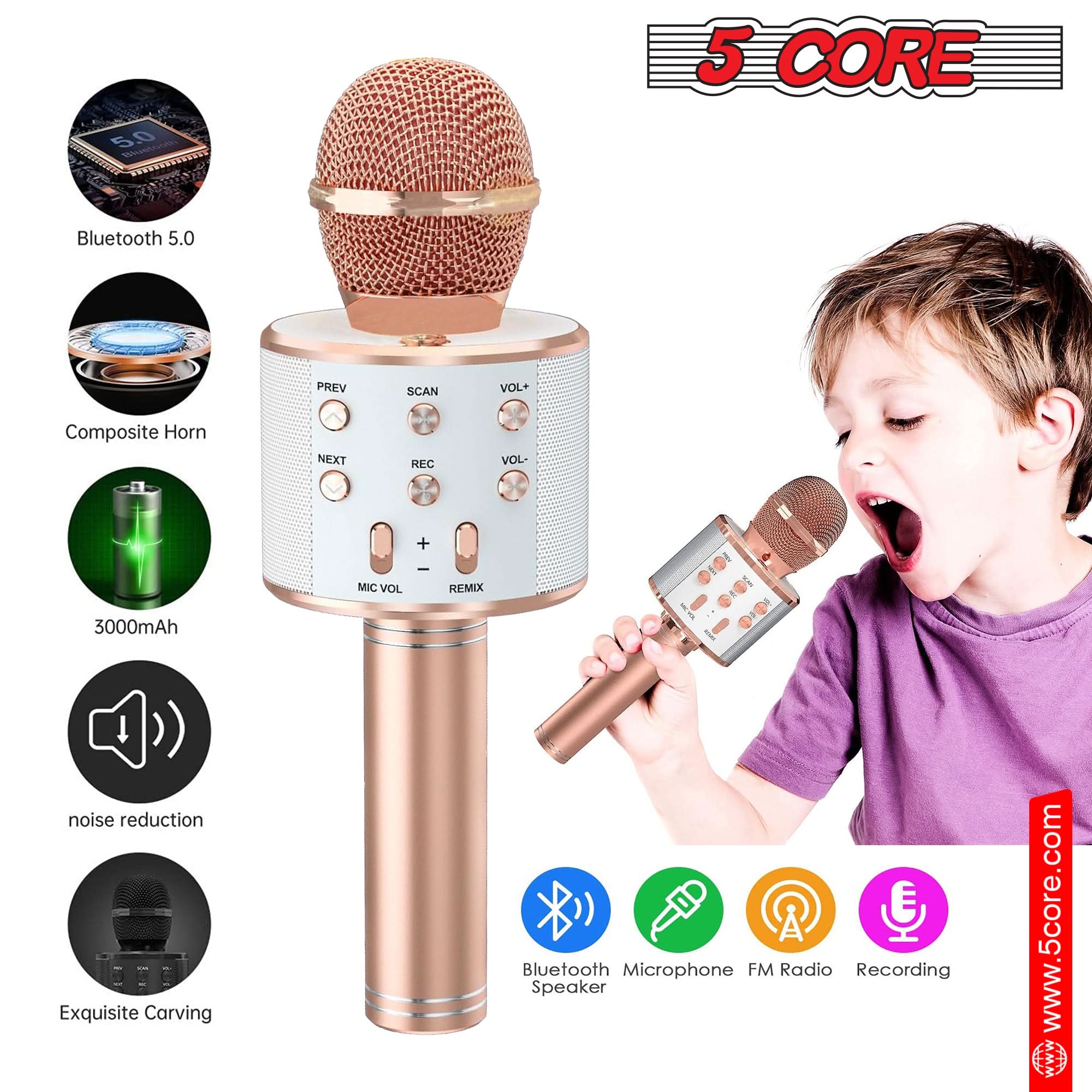 Karaoke Microphone Pair Wireless Bluetooth Mic w Speaker