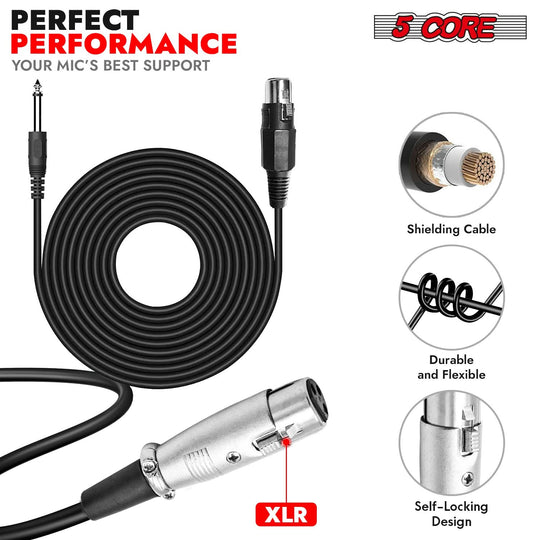 5Core XLR dynamic mic karaoke singing handheld microphone for home and studio