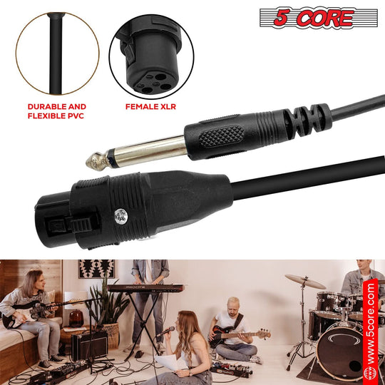 Balanced audio cables with XLR female to 1/4 inch connectors