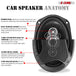 800W 5Core speaker with 4Ohm impedance and enhanced bass response