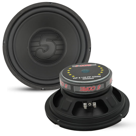 Car subwoofer